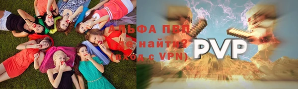 PSILOCYBIN Алексеевка