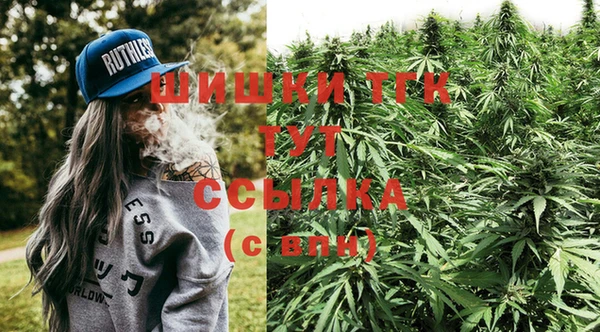 PSILOCYBIN Алексеевка